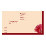 Quarter Daisy business cards