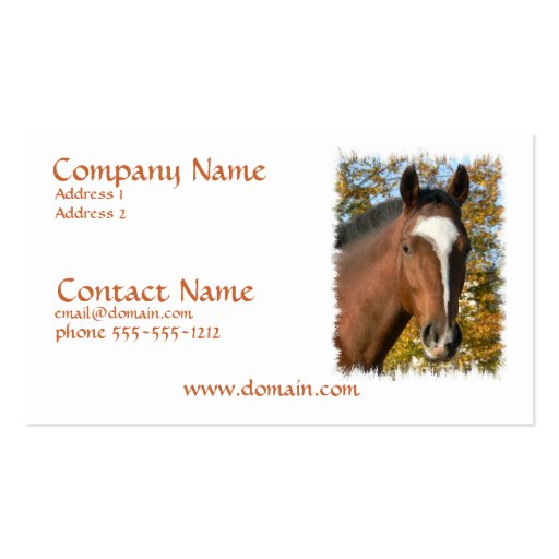 Quarter Horse Business Card (front side)