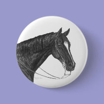 Quarter Horse buttons