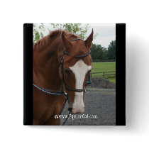Quarter Horse Button by EquineGal Quarter Horse Button