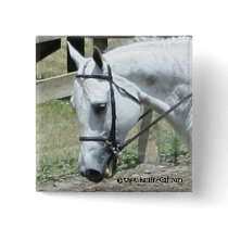 Quarter Horse Button by EquineGal Quarter Horse Button