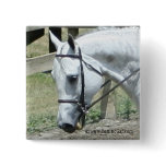 Quarter Horse Button