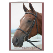Quarter Horse Card