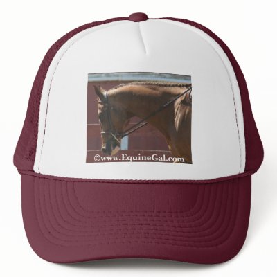 Quarter Horse Hat by EquineGal
