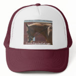 Quarter Horse Hat