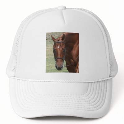 Quarter Horse Hat by EquineGal
