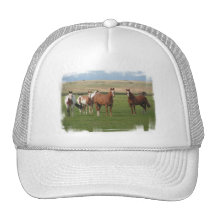 Quarter Horse Herd Baseball Hat