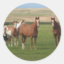 Quarter Horse Herd Stickers
