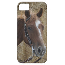 Quarter Horse iPhone cover iPhone 5 Case