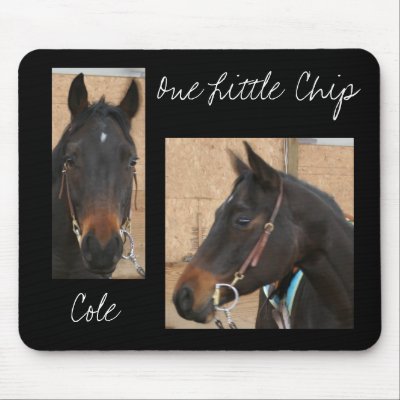 Quarter Horse Mousepad by EquineGal