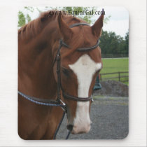 Quarter Horse Mousepad