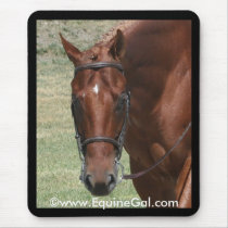 Quarter Horse Mousepad