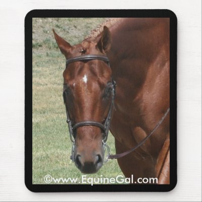 Quarter Horse Mousepad by EquineGal