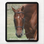 Quarter Horse Mousepad