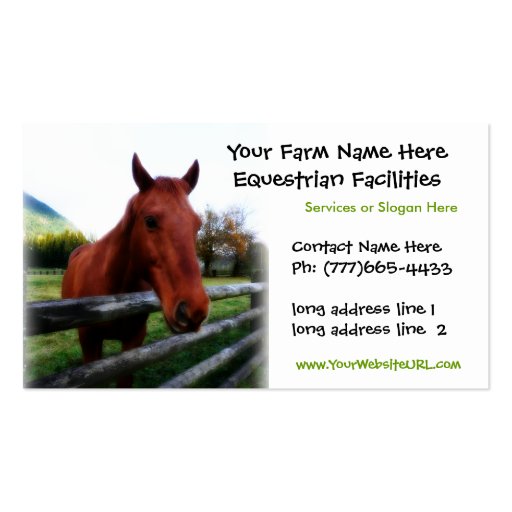 Quarter Horse Photo for Equestrian Services Business Card Templates (front side)