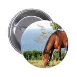 Quarter Horse Photo Round Pin