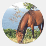 Quarter Horse Photo Stickers