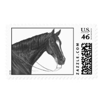Quarter Horse postage by RulanCapperStarr Quarter Horse postage
