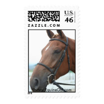Quarter Horse Postage postage by EquineGal Quarter Horse Postage postage