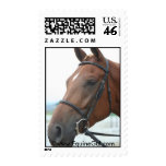 Quarter Horse Postage