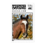Quarter Horse Postage Stamp