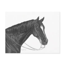 Quarter Horse postcards by RulanCapperStarr Quarter Horse postcards