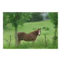 Quarter Horse posters by reginakempf Quarter Horse posters