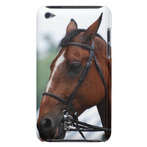 Quarter Horse Profile iTouch Case iPod Touch Cases