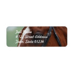 Quarter Horse Profile Mailing Label
