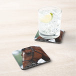 Quarter Horse Profile Set of Coasters