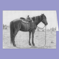 Quarter Horse Resting cards