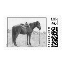 Quarter Horse Resting postage by RulanCapperStarr Quarter Horse Resting postage