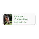 Quarter Horse Return Address Label