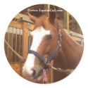 Quarter Horse Sticker by EquineGal Quarter Horse Sticker