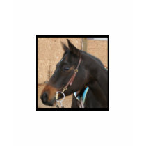 Quarter Horse T-Shirt by EquineGal Quarter Horse T-Shirt