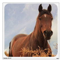 Quarter Horse Wall Graphic