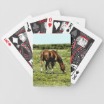 Quarterhorse playing cards