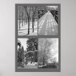 Quartet Black and White Nature Poster posters