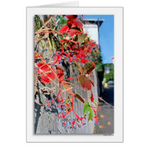 quartier Jules Ferry cards by zoespeak quartier Jules Ferry cards