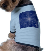 Quasar Pet Clothing
