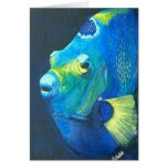 Queen Angel fish Card