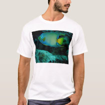 Queen Angel Fish t-shirts