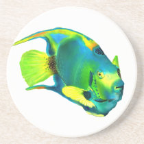Queen Angelfish Coaster