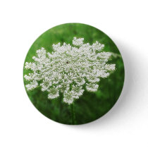 Queen Anne's Lace 1 (Wild Carrot) buttons by LivingNature Queen Anne's Lace 1 (Wild Carrot) buttons