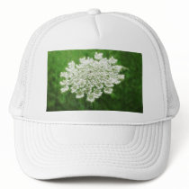 Queen Anne's Lace 1 (Wild Carrot) hats by LivingNature Queen Anne's Lace 1 (Wild Carrot) hats