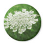 Queen Anne's Lace 1 (...