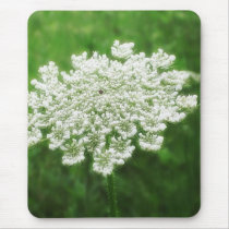 Queen Anne's Lace 1 (Wild Carrot) mousepads by LivingNature Queen Anne's Lace 1 (Wild Carrot) mousepads