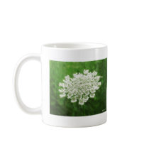 Queen Anne's Lace 1 (Wild Carrot) mugs