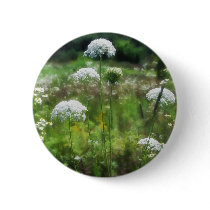 Queen Anne's Lace 2 Floral buttons by LivingNature Queen Anne's Lace 2 Floral buttons
