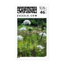 Queen Anne's Lace 2 Floral postage